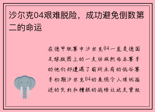 沙尔克04艰难脱险，成功避免倒数第二的命运